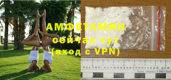 дживик Верхний Тагил