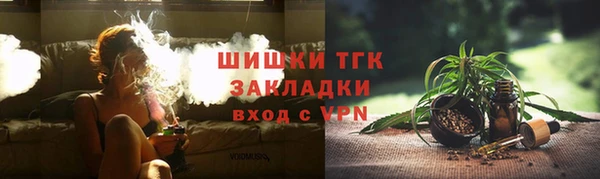 дживик Верхний Тагил
