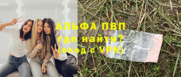 дживик Верхний Тагил