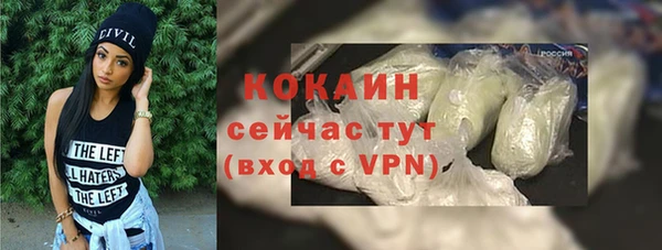 дживик Верхний Тагил