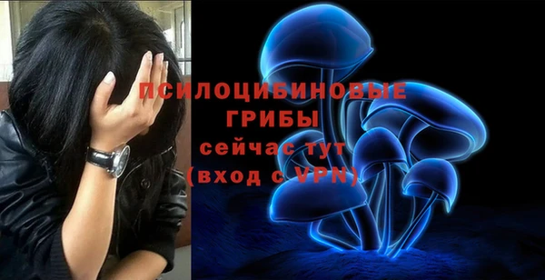соль ск Верея