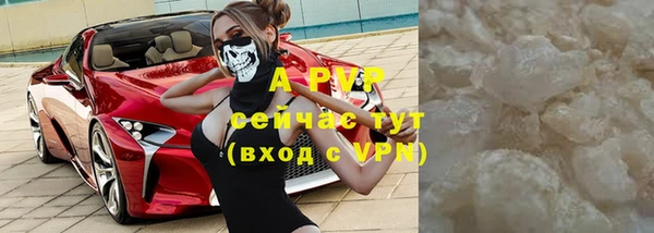 дживик Верхний Тагил